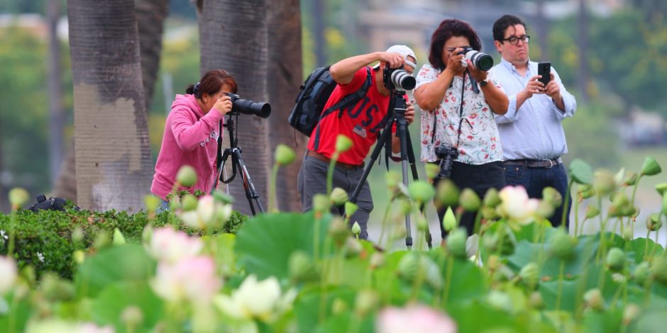 photographers