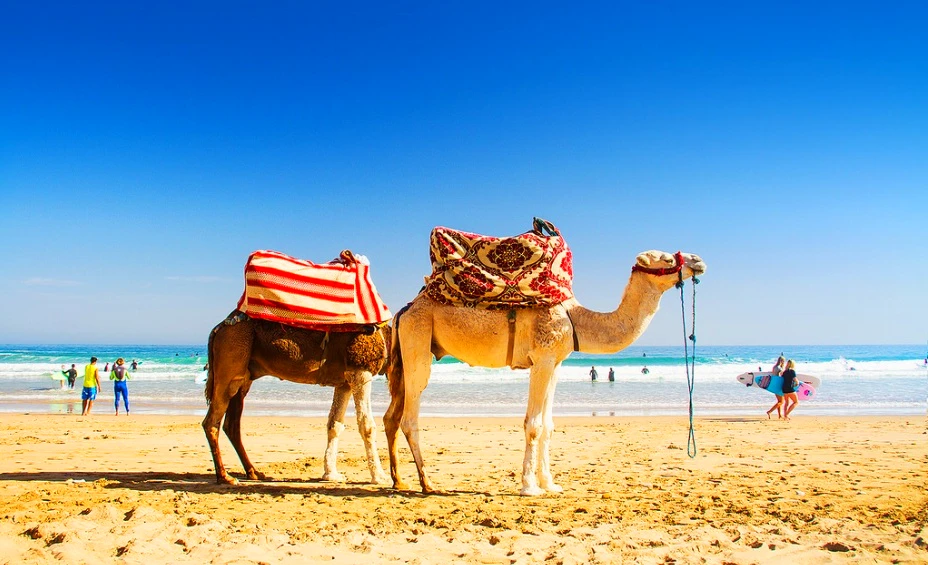 Taste of Morocco Tour