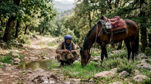 Barb horse and guide on Atlas mountain trail