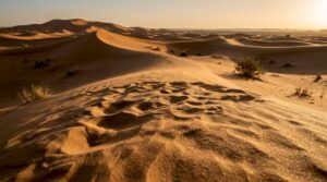 Sunlit vast sand dunes of Erg Chebbi in Morocco