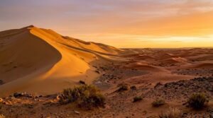 Contrasting desert dunes at Merzouga and Zagora