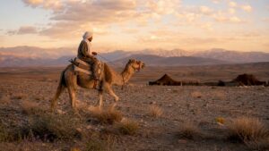 Berber man riding camel across rocky Agafay Desert plateau